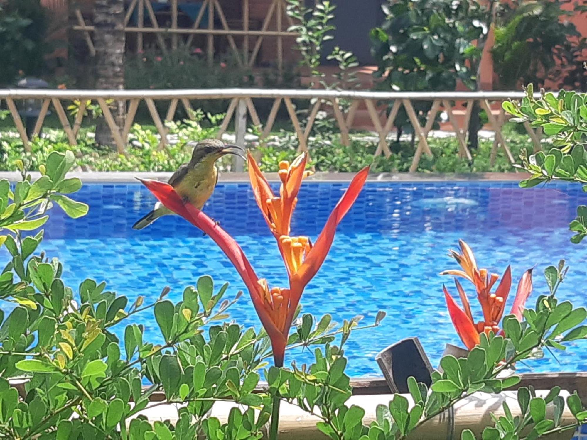 Anan Boutique Bungalows With Private Kitchen Phú Quốc-sziget Kültér fotó